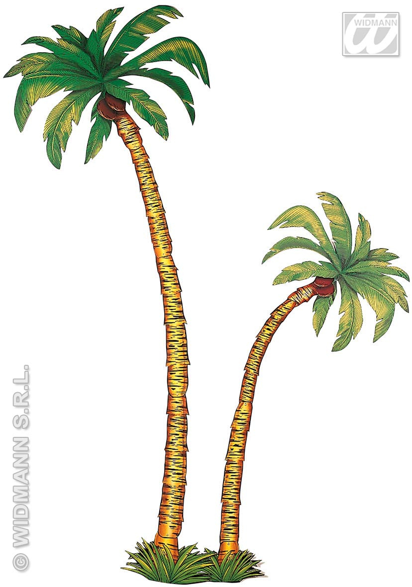 2 Palmbomen 1x180cm, 1x116cm