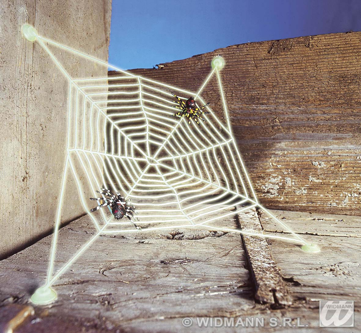 Spinnenweb Met 2 Spinnen, Lichtgevend In Donker