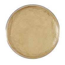 Make-Up In 25 Gram Bakje, Goud